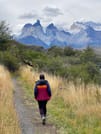 Full Day Torres del Paine Tour from Puerto Natales with Pickup 10