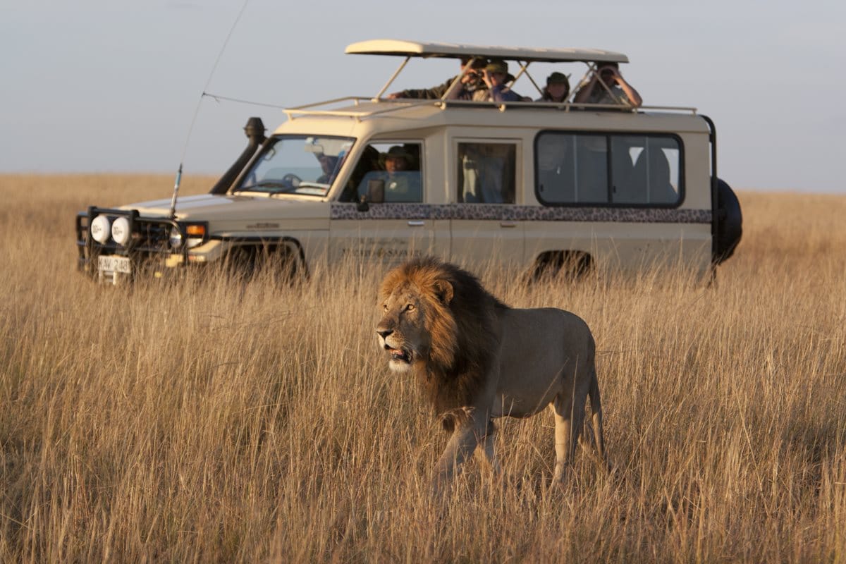 African safaris