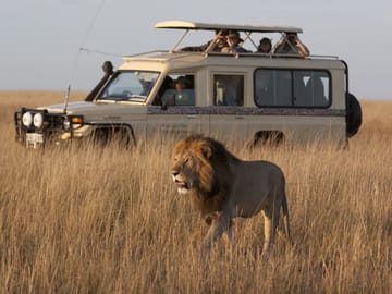 Full-Day African Safari Adventure in Kampala, Uganda