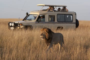 Full-Day African Safari Adventure in Kampala, Uganda
