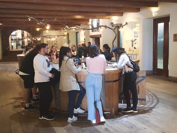 Wine Tasting Fairview Paarl