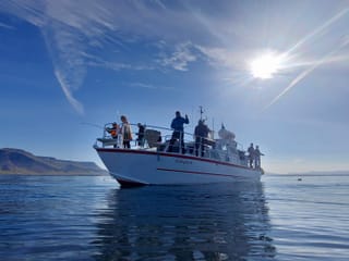 Reykjavík Sea Angling Gourmet, photo 10