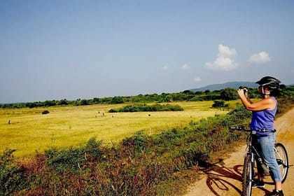 Half Day Village Cycling Tour in Yala: