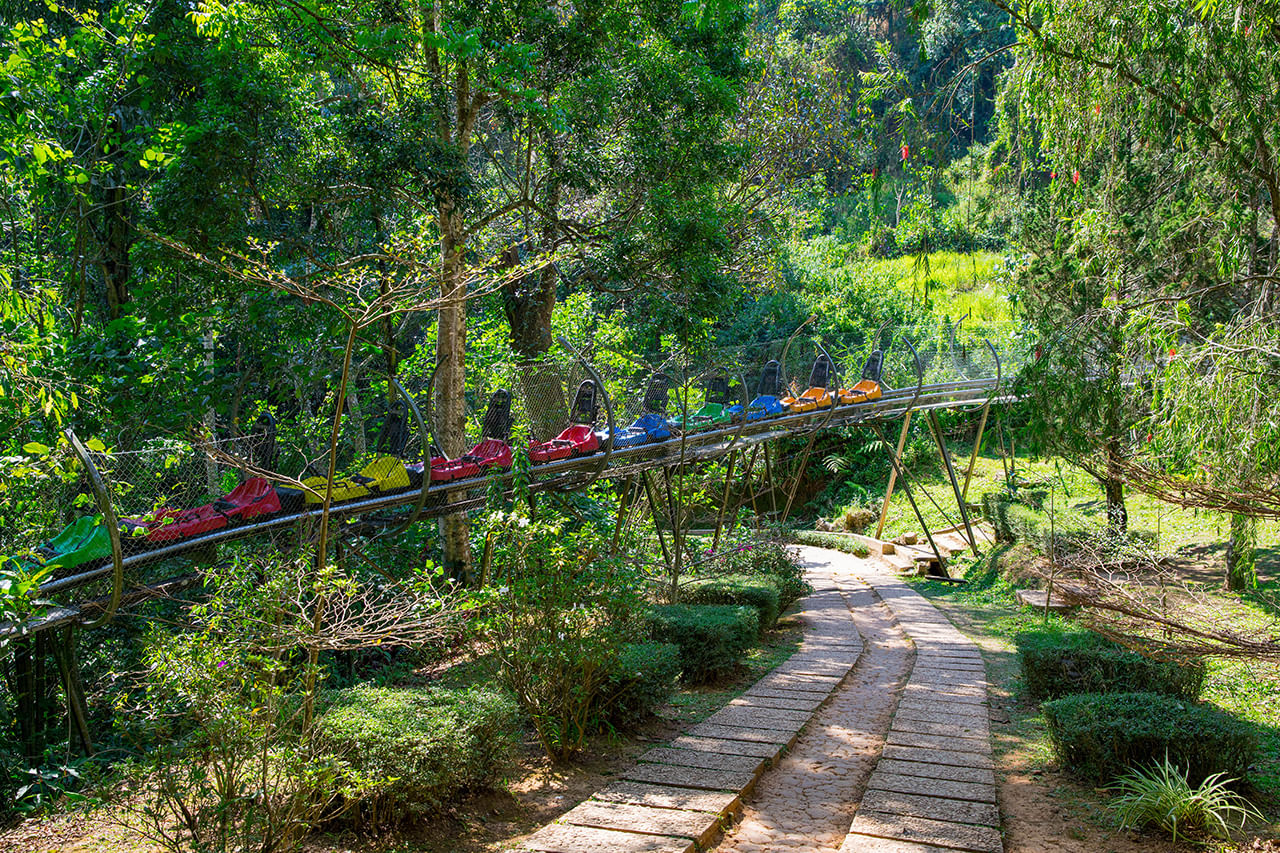 Full-day Adventurous Day In Da Lat's Nature