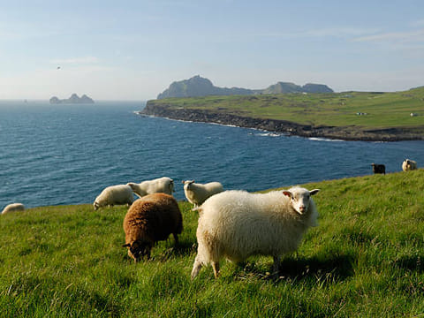Private luxury tour Westman Islands 10h, photo 4