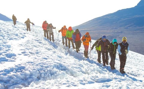 One Day Hike on Narumoro Route in Mount Kenya National Park