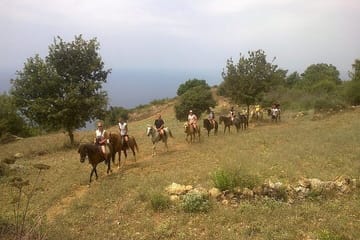 Alanya Horse Riding Experience