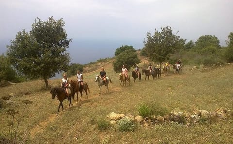 Horseback Riding Adventure in Alanya, Türkiye