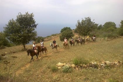 Alanya Horse Riding Experience