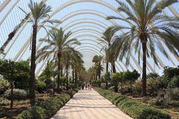 Private Day Trip to Valencia from Barcelona with Guide