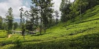 03 Day Tour From  Kandy ( Without Accommodation )  1