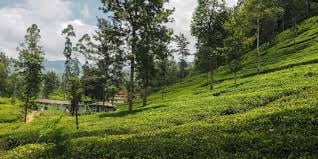 03 Day Tour From  Kandy ( Without Accommodation )