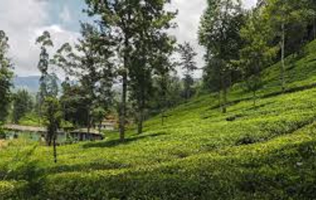 03 Day Tour From Kandy ( Without Accommodation )