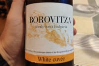 Vidin & Belogradchik Exquisite Wine Tasting 1