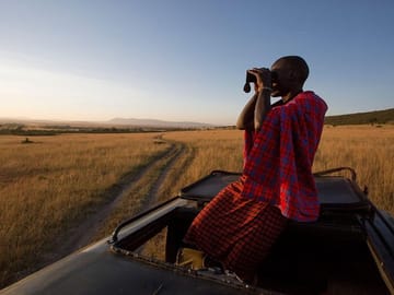Game Viewing Drive at the Masai Mara