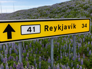 Keflavik Airport and Reykjavik: ONE-WAY Private Transfer , photo 8