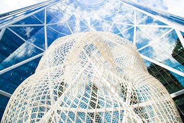 Yamnuska Wolfdog Sanctuary and Calgary City tour