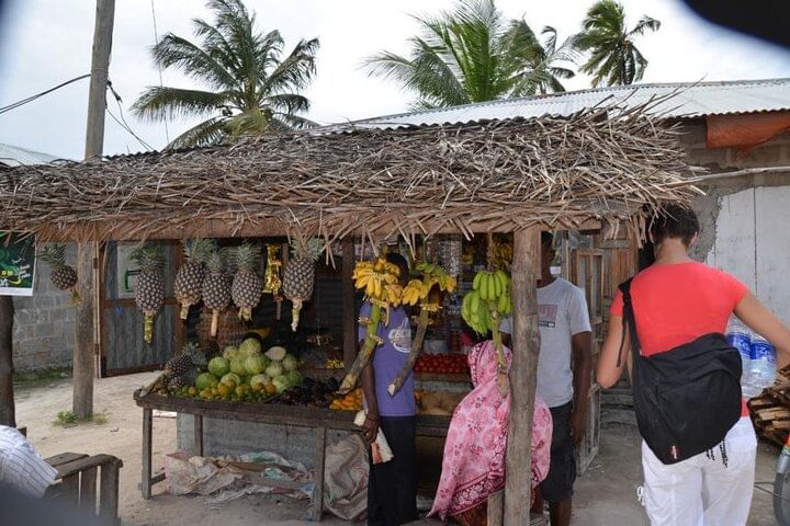 Mnemba Island, Nungwi Village & Sea Turtle Experience