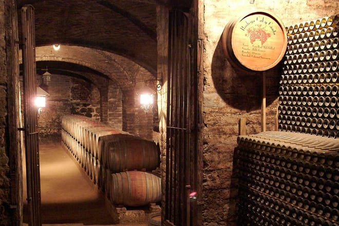 Private Tour: Santa Rita Vineyard with Wine Tastings