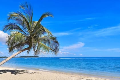 3 Day Pasikudha Tour from Kandy