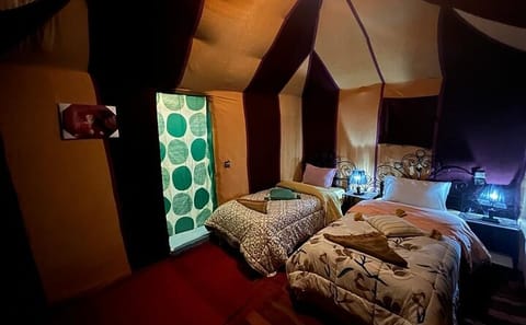 Camel Trekking and Overnight Stay in Erg Chebbi Desert from Erfoud