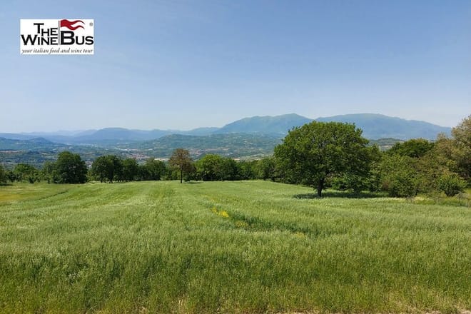Private Irpinia Gourmet Tour from POSITANO, PRAIANO or AMALFI - Photo 3