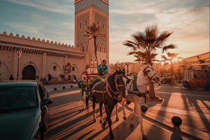 Marrakech: 1H-Horse carriage private tour in madina w/ pick-up