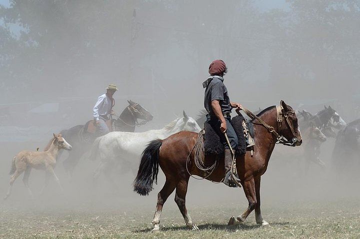 Gaucho Day Trip at Santa Susana Ranch: BBQ, Tango, and Horse Riding