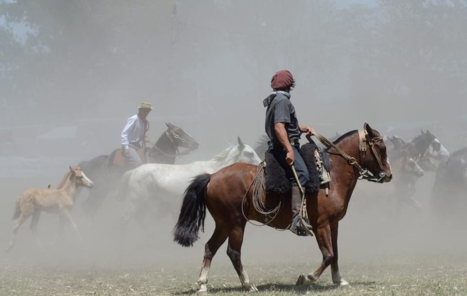 Buenos Aires Shore Excursion: Gaucho Day Trip to Santa Susana Ranch