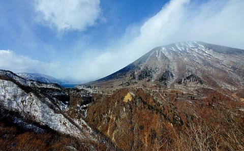 Tokyo to Nikko English Guided Private Tour