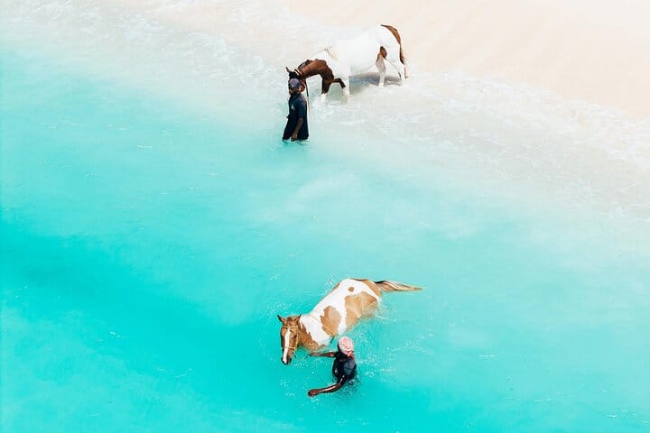 Zanzibar Culinary Class and Nungwi Village Tour