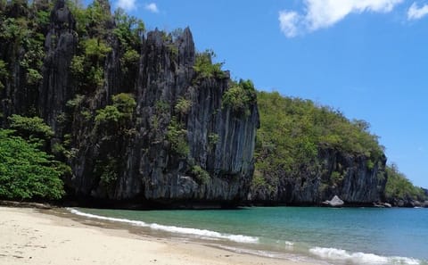 Private Shore Excursion to Puerto Princesa Underground River