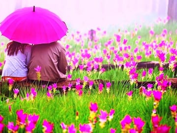 Cultural and Scenic Honeymoon Tour in Colombo, Sri Lanka