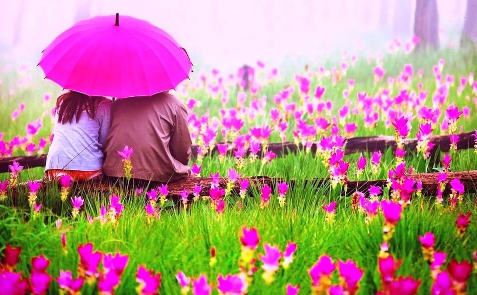 Cultural and Scenic Honeymoon Tour in Colombo, Sri Lanka