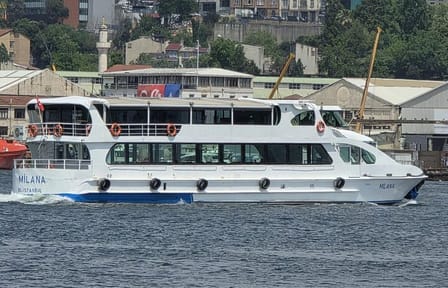 Princes' Islands Day Tour from Istanbul with Lunch Included