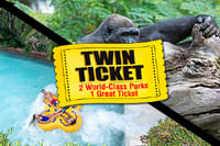Twin ticket (Loro Parque + Siam Park) with transfer to Loro Park 7