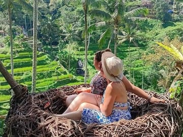 tegalalang Nest