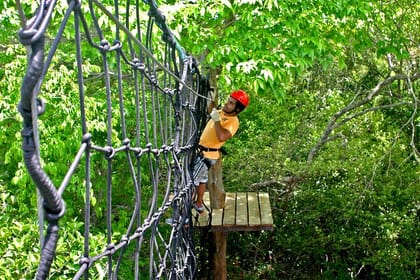 Kite Jeep Tour with Tree Canopy