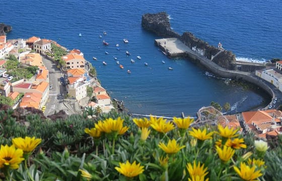 private, half-day tour of Madiera in an open top safari jeep