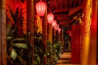 Hoi An Secret Cocktail Experience with Local Host 5