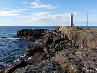 Private Tour from Djupivogur - The Eastfjord, photo 8