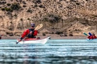 CALAFATE: Santa Cruz River Kayak Tour: Following Darwin’s Route 5