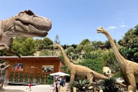 Goynuk Canyon and Dinopark Tour with Lunch Transfer From Antalya 10