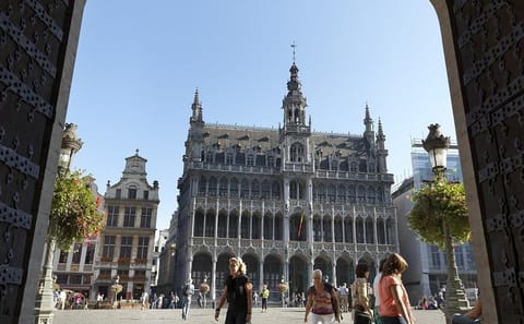Private Walking Tour of Brussels' Historical City Center