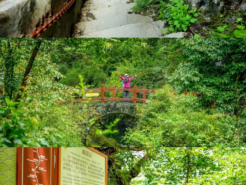 Chongqing: Nanchuan Forest Views Private Day Trip