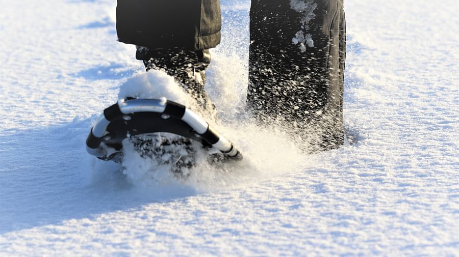 Snowshoeing tour, forest, Pure Lapland, Rovaniemi Lapland