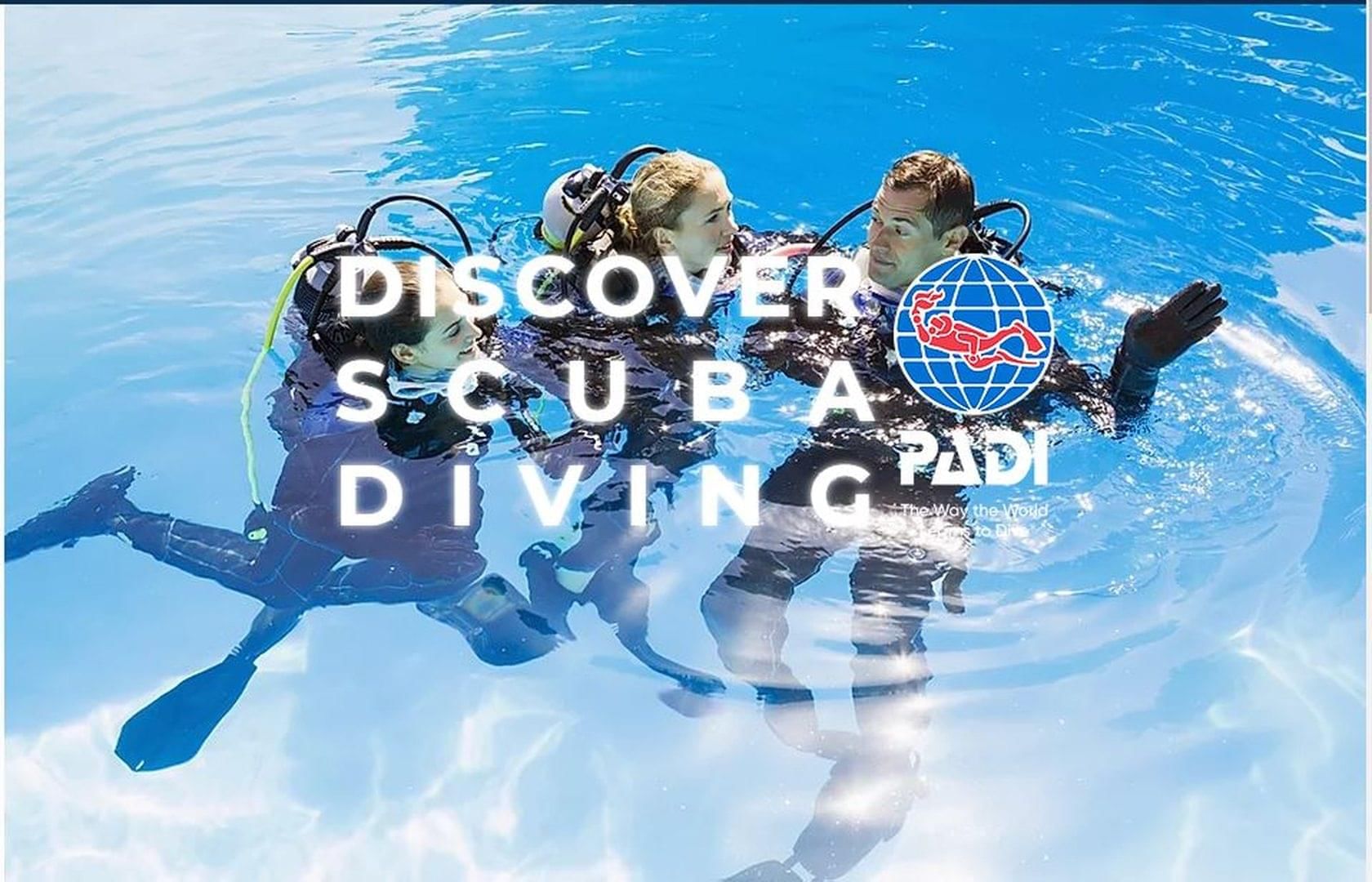 Try scuba diving Madeira Island