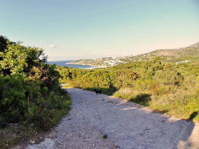 Private Tour - Douliana and Almyrida Nature Walk 9