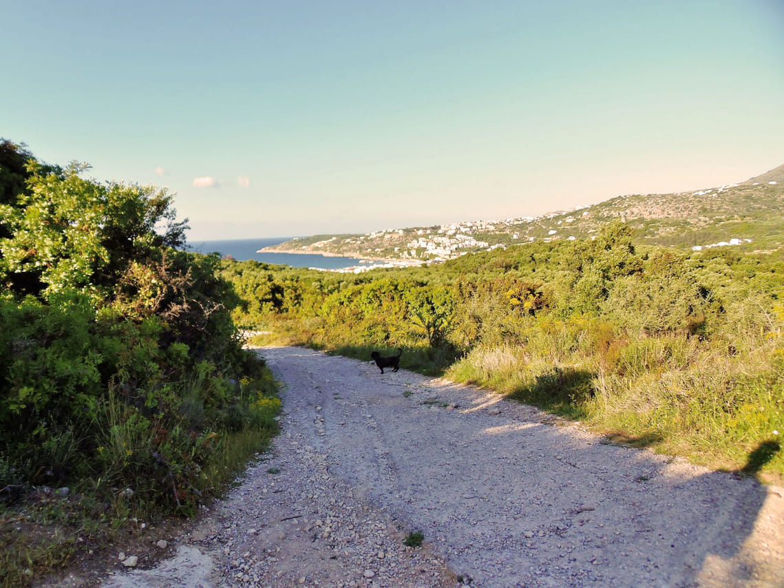 Private Tour - Douliana and Almyrida Nature Walk 9