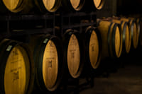 Chateau Copsa Wine Tasting Tours & Activities 2